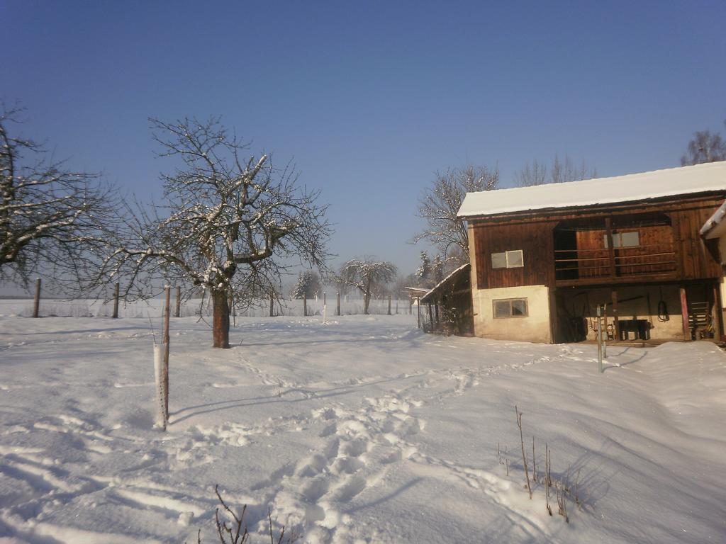 Familiehuis Fuchs Horni Branna Exteriör bild